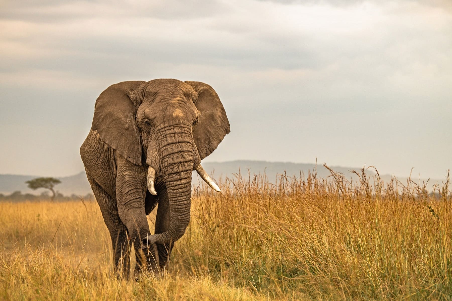 Serengeti National Park